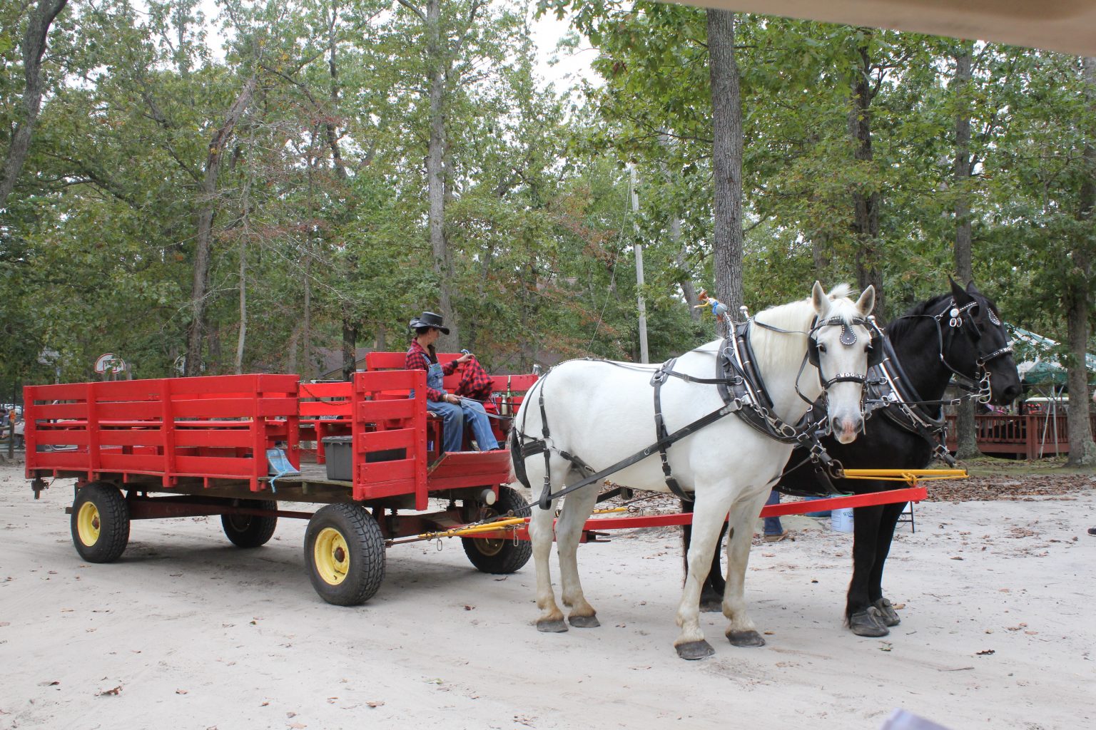 Family + Fall + Fun = Fall Festival at Camp! - JCC Camps at Medford